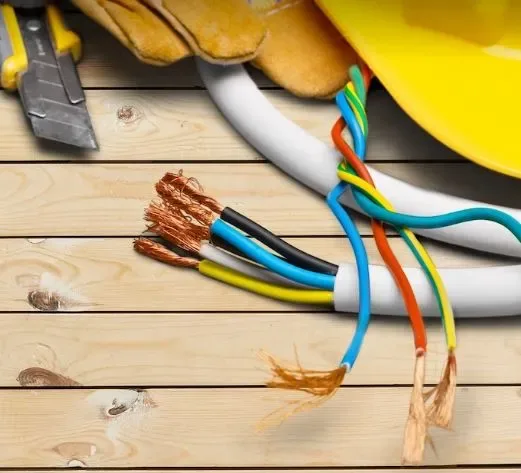 Reparacion de cortocircuitos en Casa de Campo